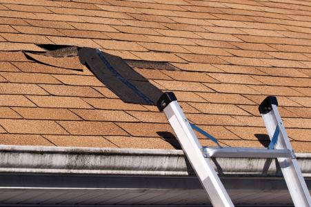 North Chicago roof repair by Cedar Shake & Shingle Roofing